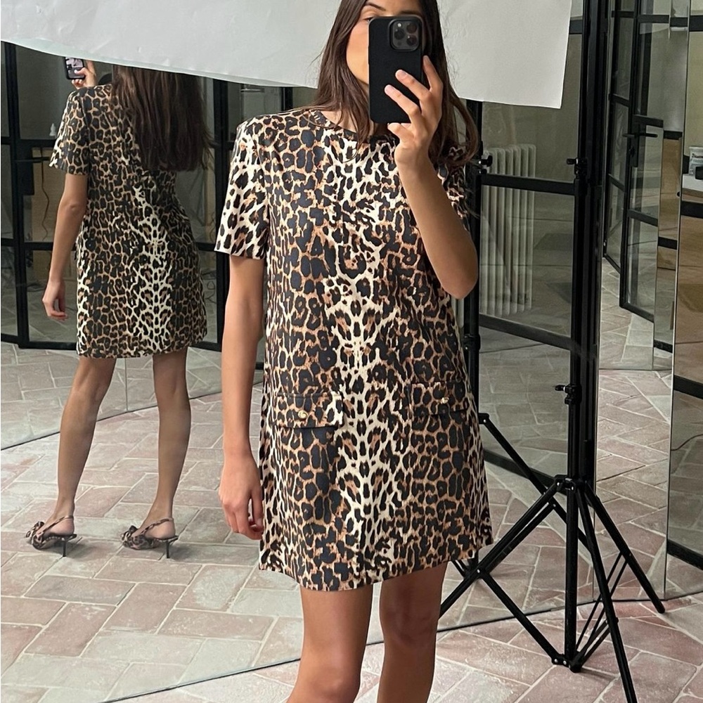Zara Leopard Animal Print Short Dress
